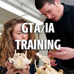 GTA/IA Training