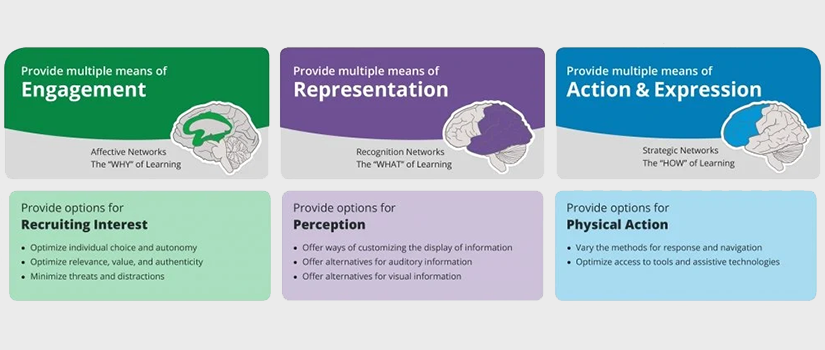 Universal Design for Learning Short Course