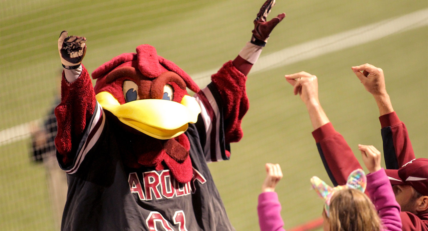 Cocky with his arms raised at a game. 