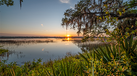 The sun setting over a beautiful marsh area.