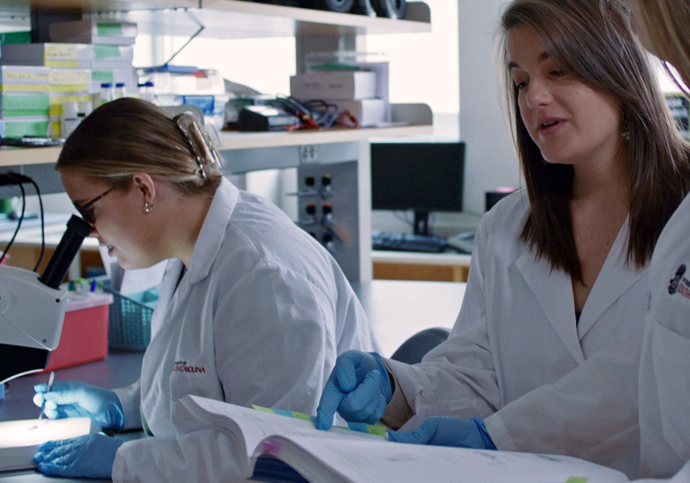 Researchers working in a lab with a microscope.