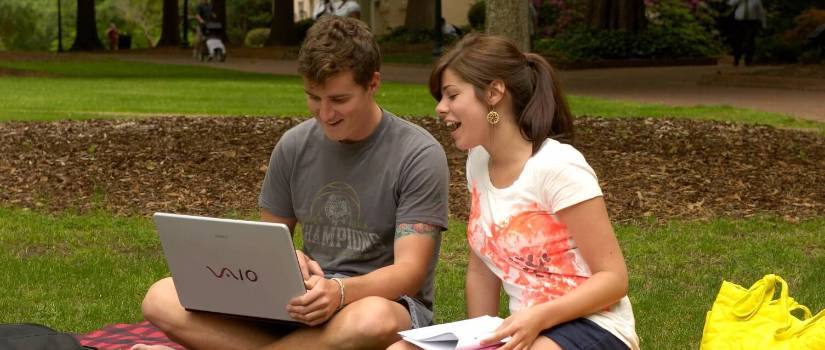 Students studying outside
