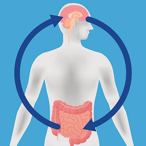 brain gut axis