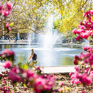 Image of Thomas Cooper Fountain