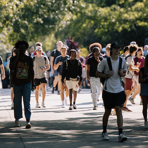 students walking over gray bridge on sunny day